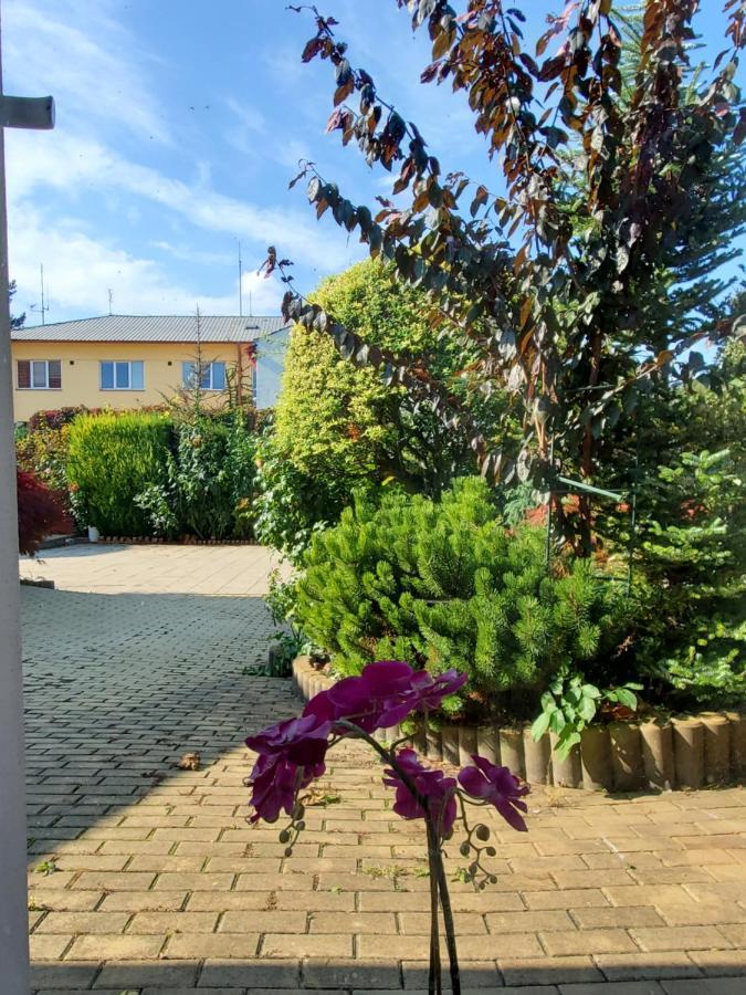 Apartman Stary Liskovec Daire Brno Dış mekan fotoğraf